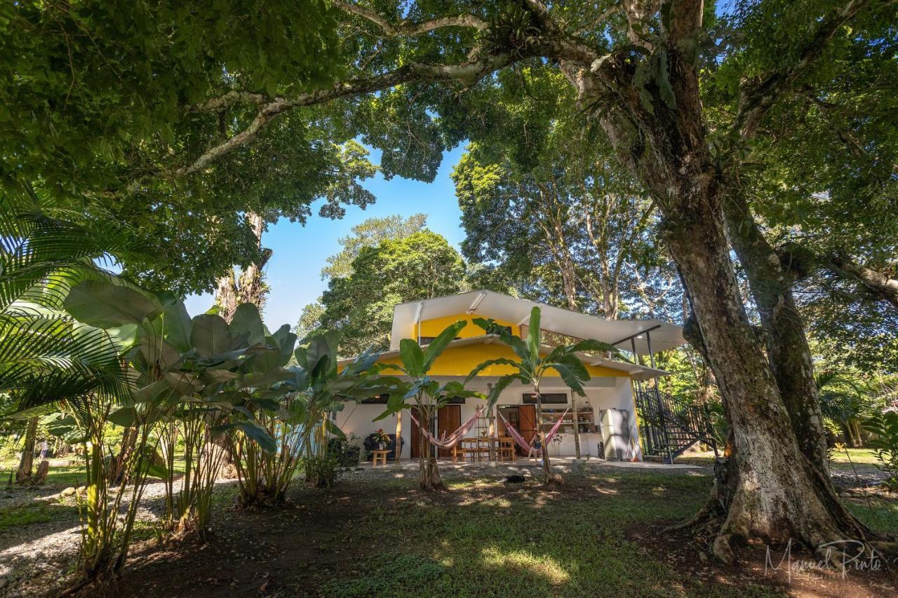 Puerto Viejo Club, Villas & Pool Puerto Viejo de Talamanca Eksteriør billede