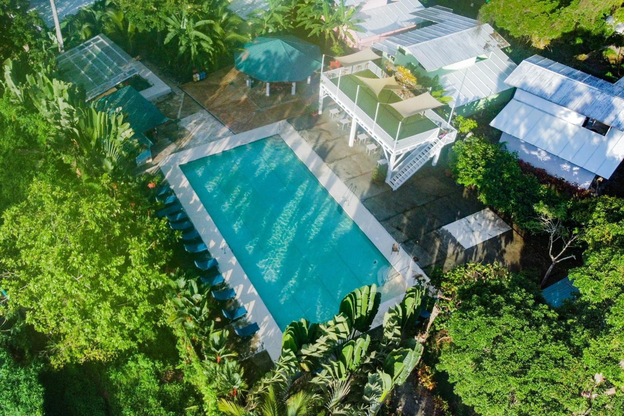 Puerto Viejo Club, Villas & Pool Puerto Viejo de Talamanca Eksteriør billede