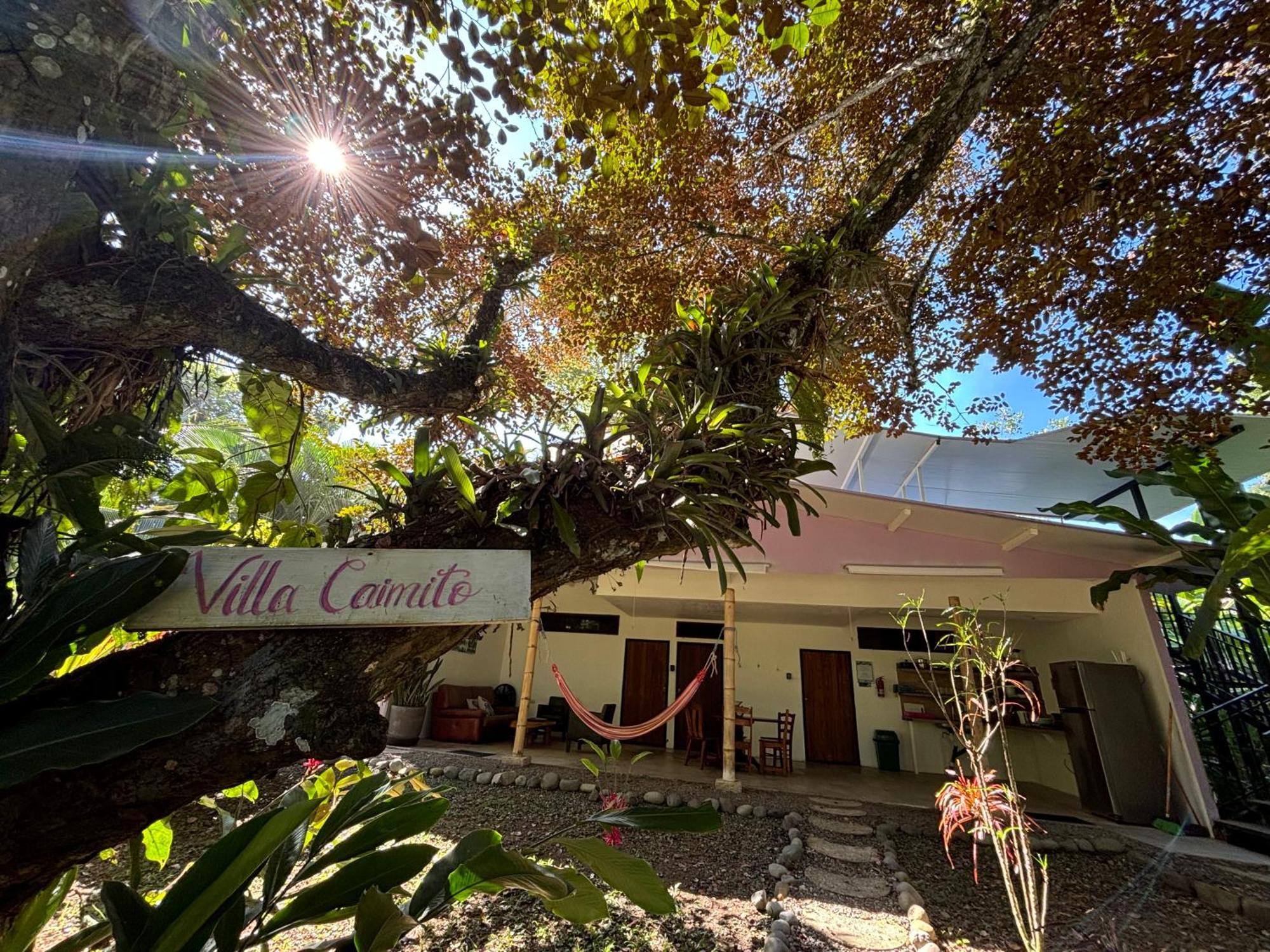 Puerto Viejo Club, Villas & Pool Puerto Viejo de Talamanca Eksteriør billede